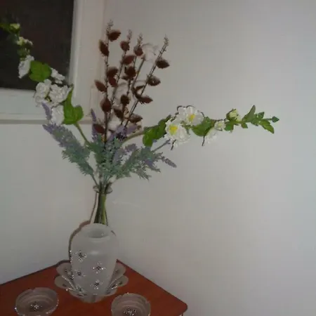 Splitski Put 19-apartman Vlaho Apartment *